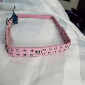 💚 Large dog collar